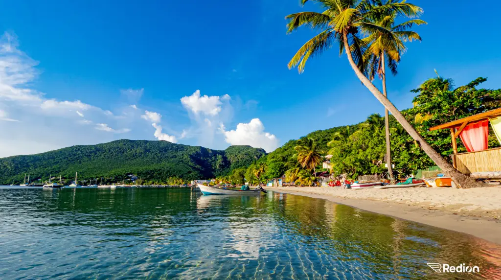 paysage des antilles avec une belle petite plage et un palmier sur le sable