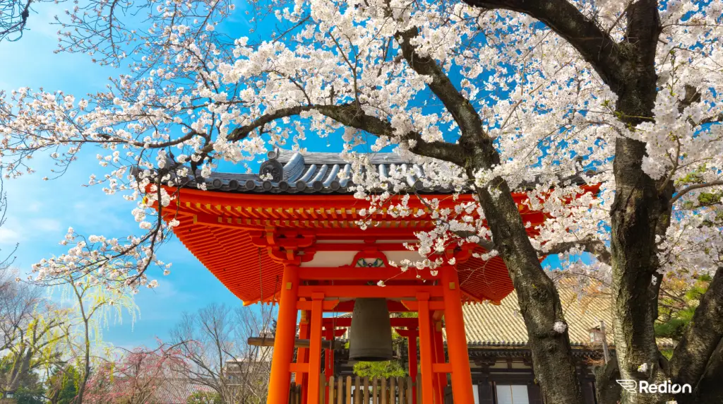 Cerisier en fleur et temple rouge au Japon